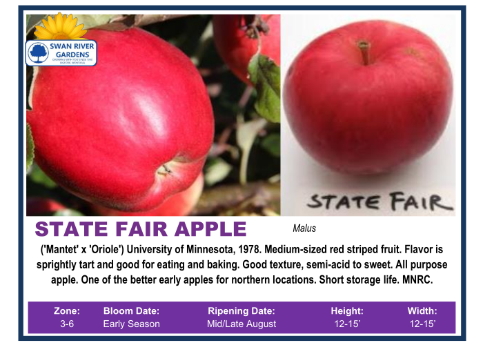 Malus_State_Fair